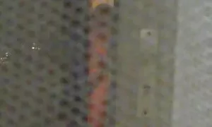 Freche Fälschung wir ...